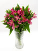 Alstroemeria Hot Pink - 10 stem bunch
