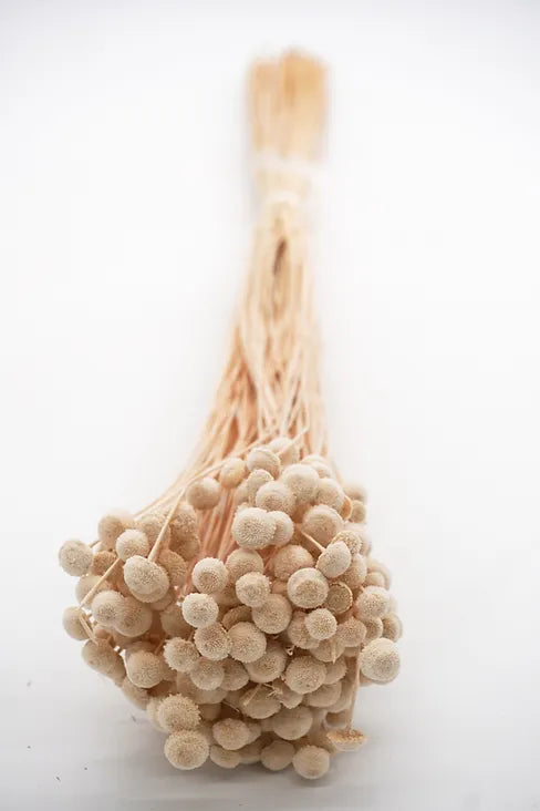 Bleached Happy Flower