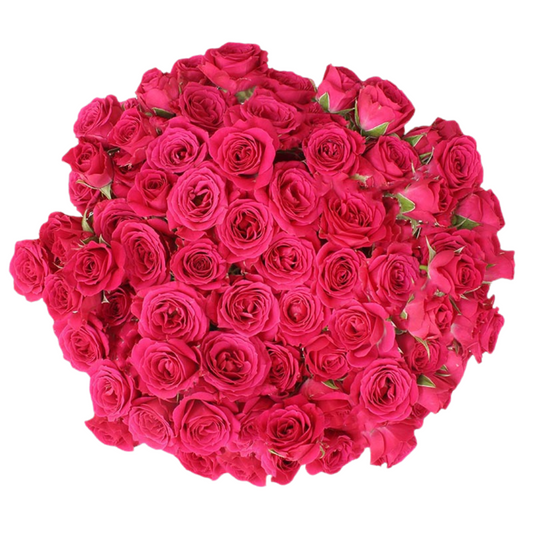 Lovely Lidia - 10 stem bunch