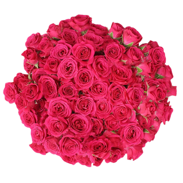 Lovely Lidia - 10 stem bunch