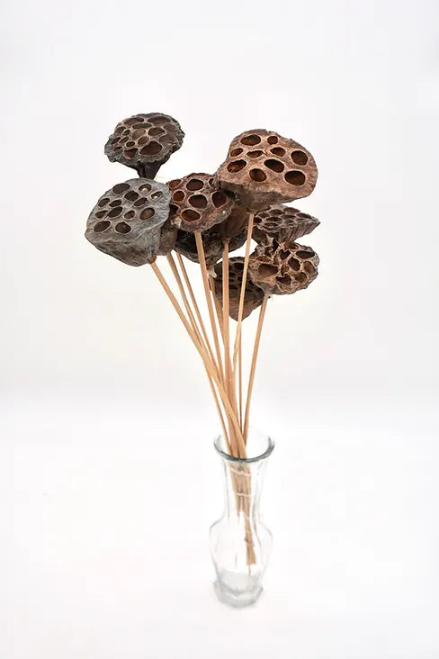 Mini Lotus Pods