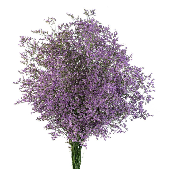 Misty Blue - 6 stem bunch