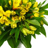 Alstroemeria Yellow - 10 stem bunch