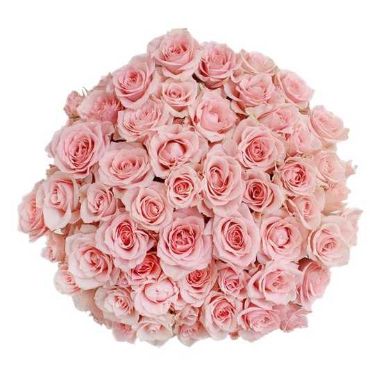 Kelle - 10 stem bunch