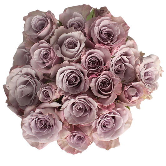 Little Silver - 10 stem bunch