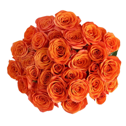 Orange Babe - 10 stem bunch