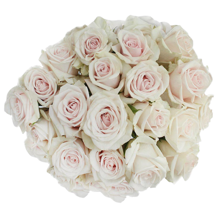 White Majolica - 10 stem bunch