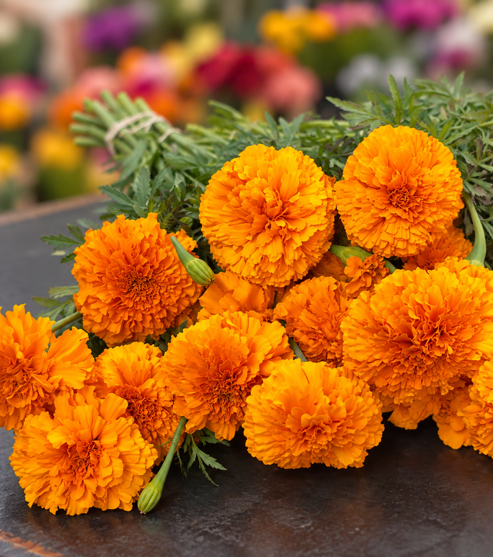 Marigolds - 50 stems