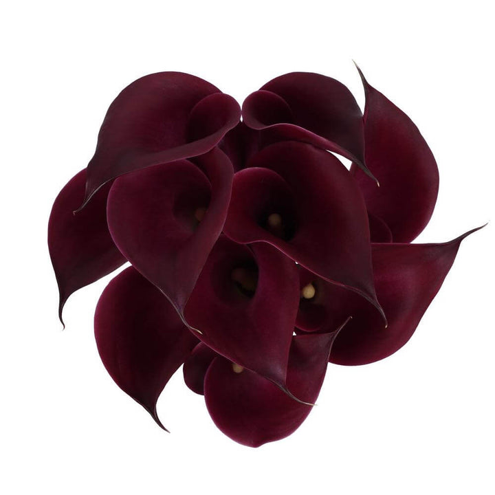 Mini Calla Lillies Cranberry - 10 stem bunch