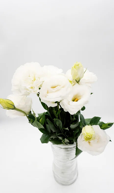 Lisianthus White - 5 stem bunch