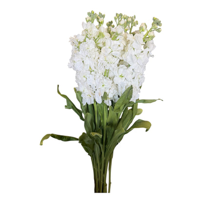 Stock- White 10stem bunch