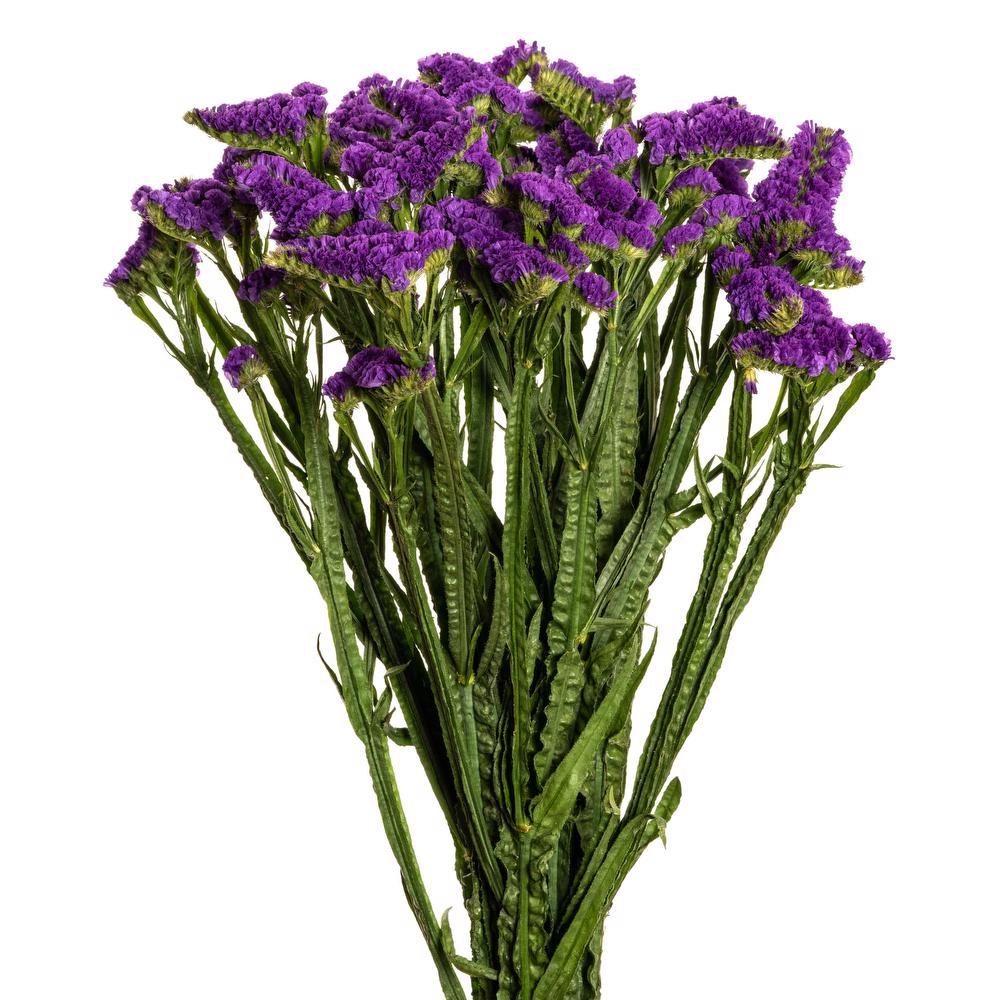 Statice Purple - 10 stem bunch
